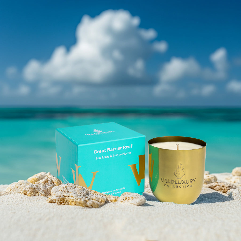 Great Barrier Reef (Candle)