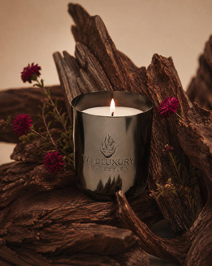 Tonka & Oud (Candle)