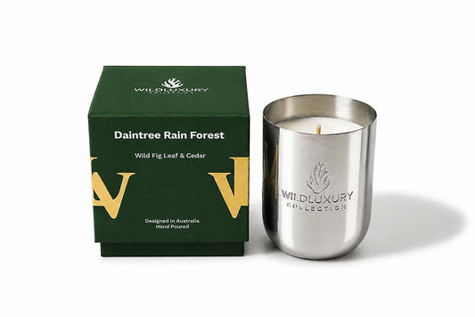 Daintree Rain Forest (Candle)
